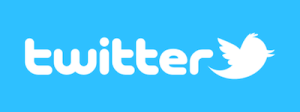 Twitter Logo wide