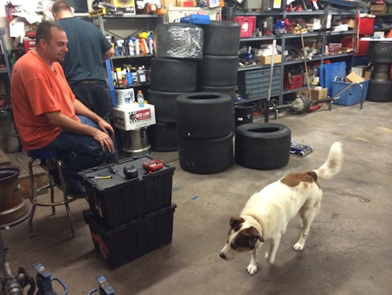 Riley the dog gets involved in the shop work. 